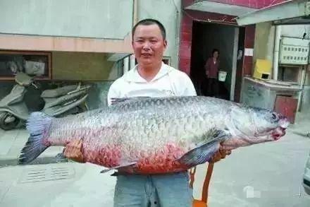 青魚視頻國產(chǎn)在線,國產(chǎn)在線影視盛宴，盡享視聽盛宴