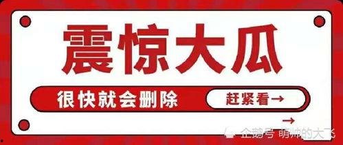 吃瓜娛樂八卦圖