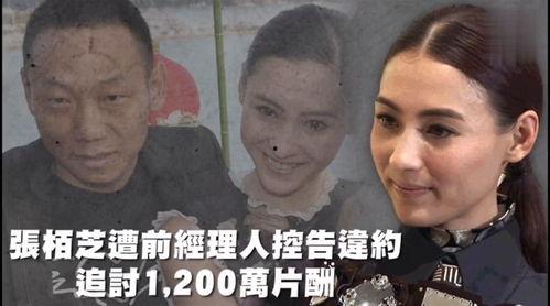 娛樂(lè)看點(diǎn)吃瓜,揭秘明星幕后故事